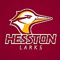 Hesston College