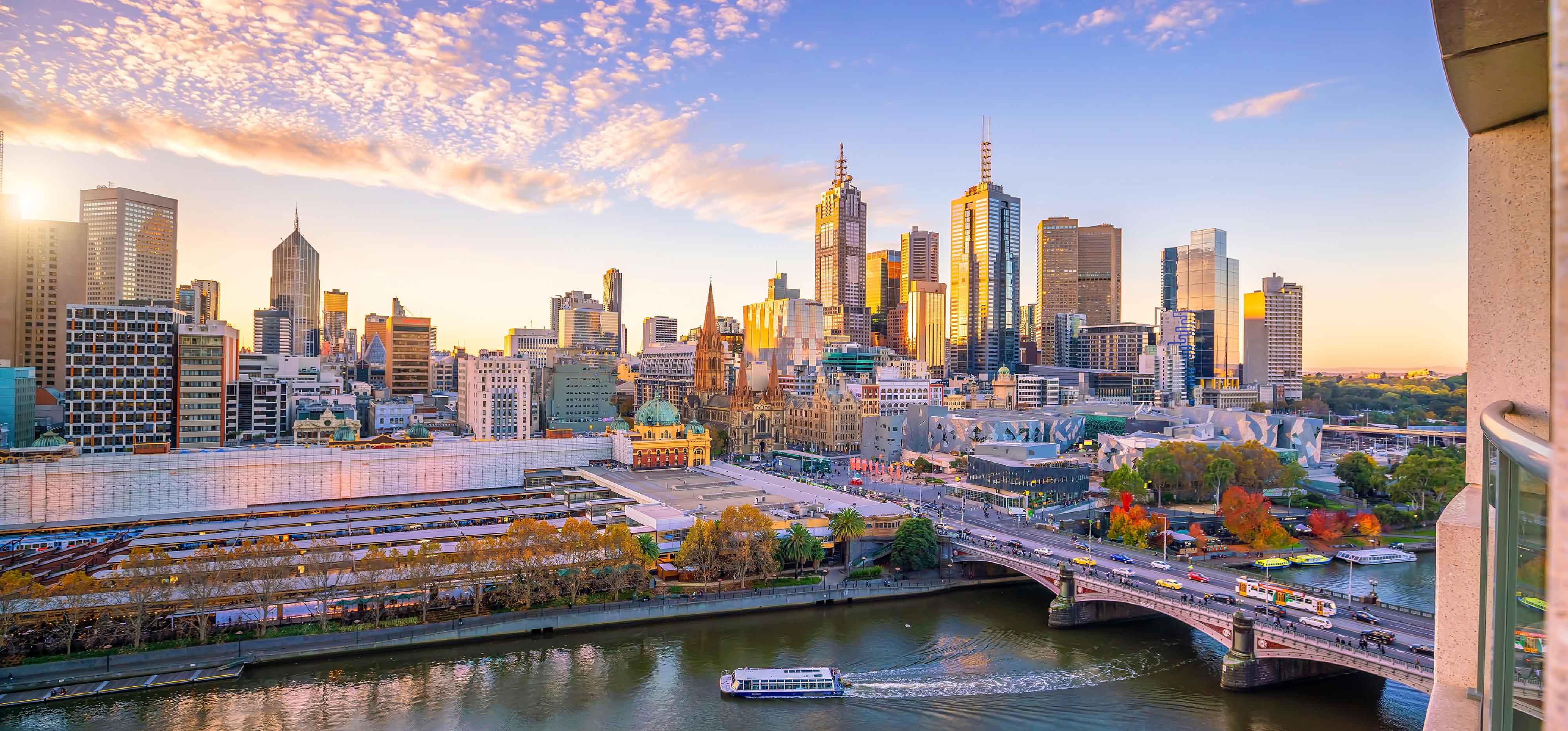 الفرص المهنية