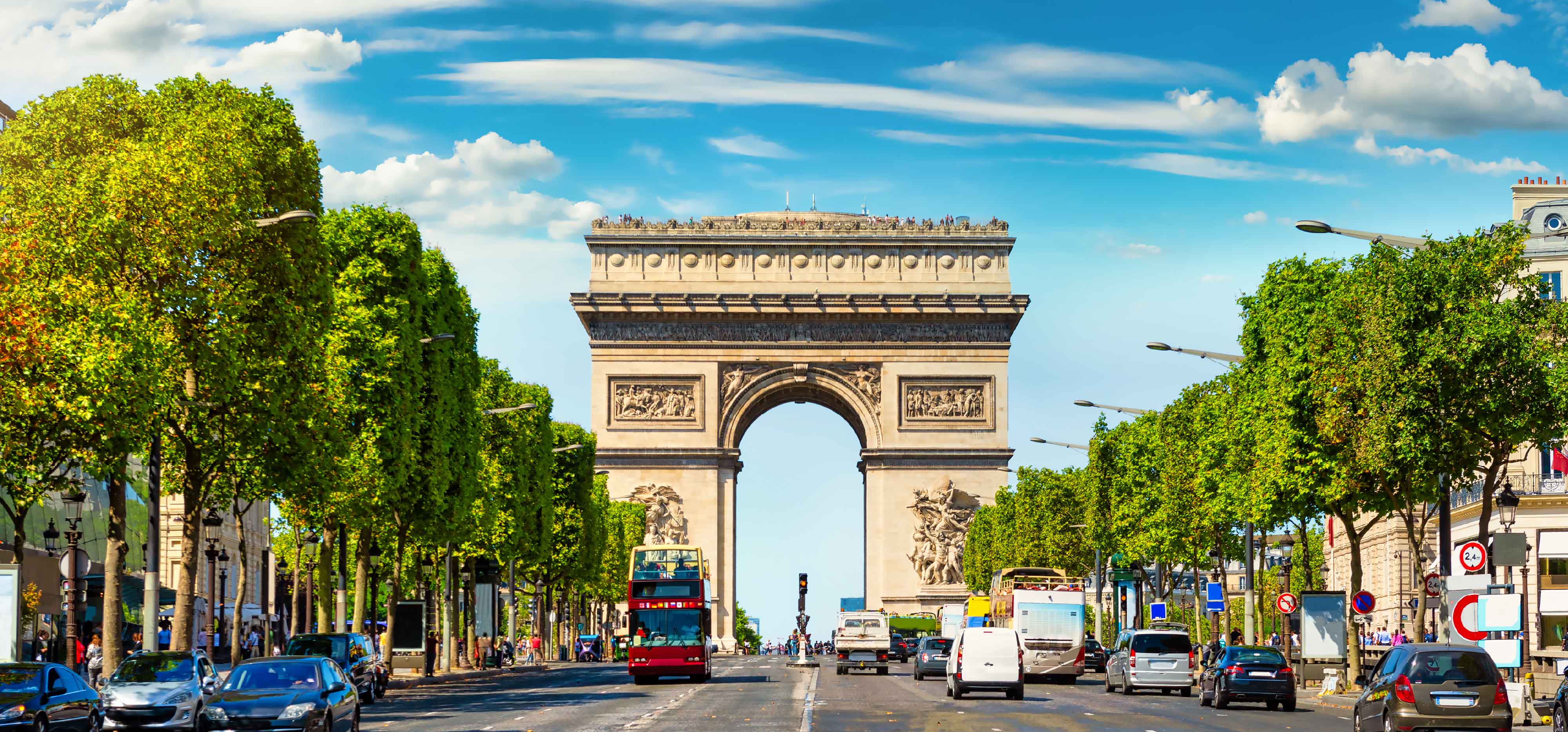 الفرص المهنية