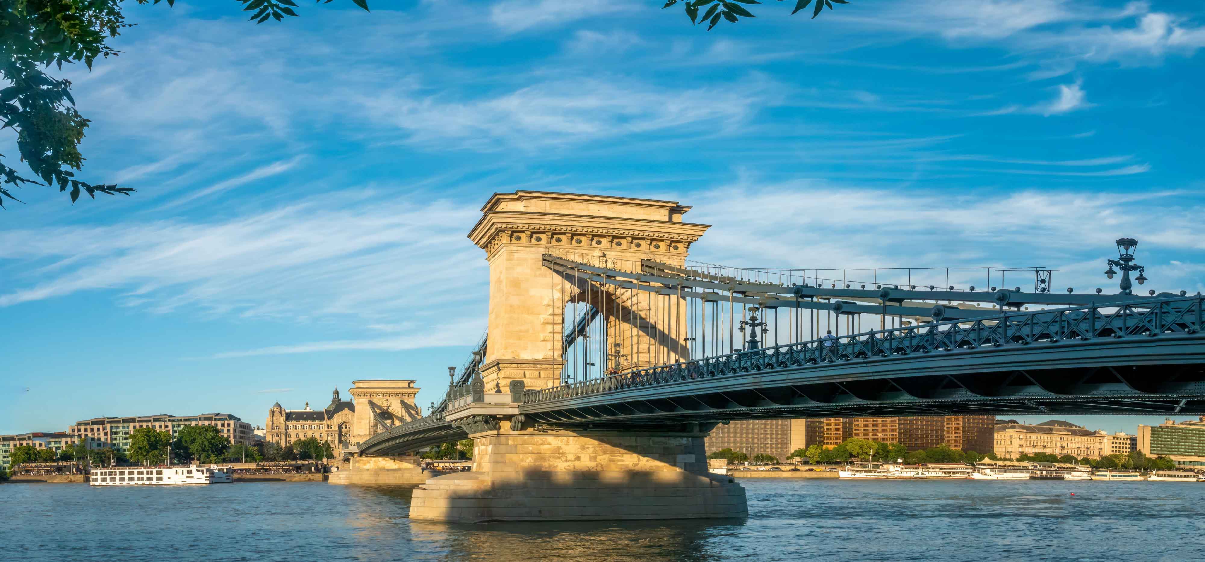 الفرص المهنية