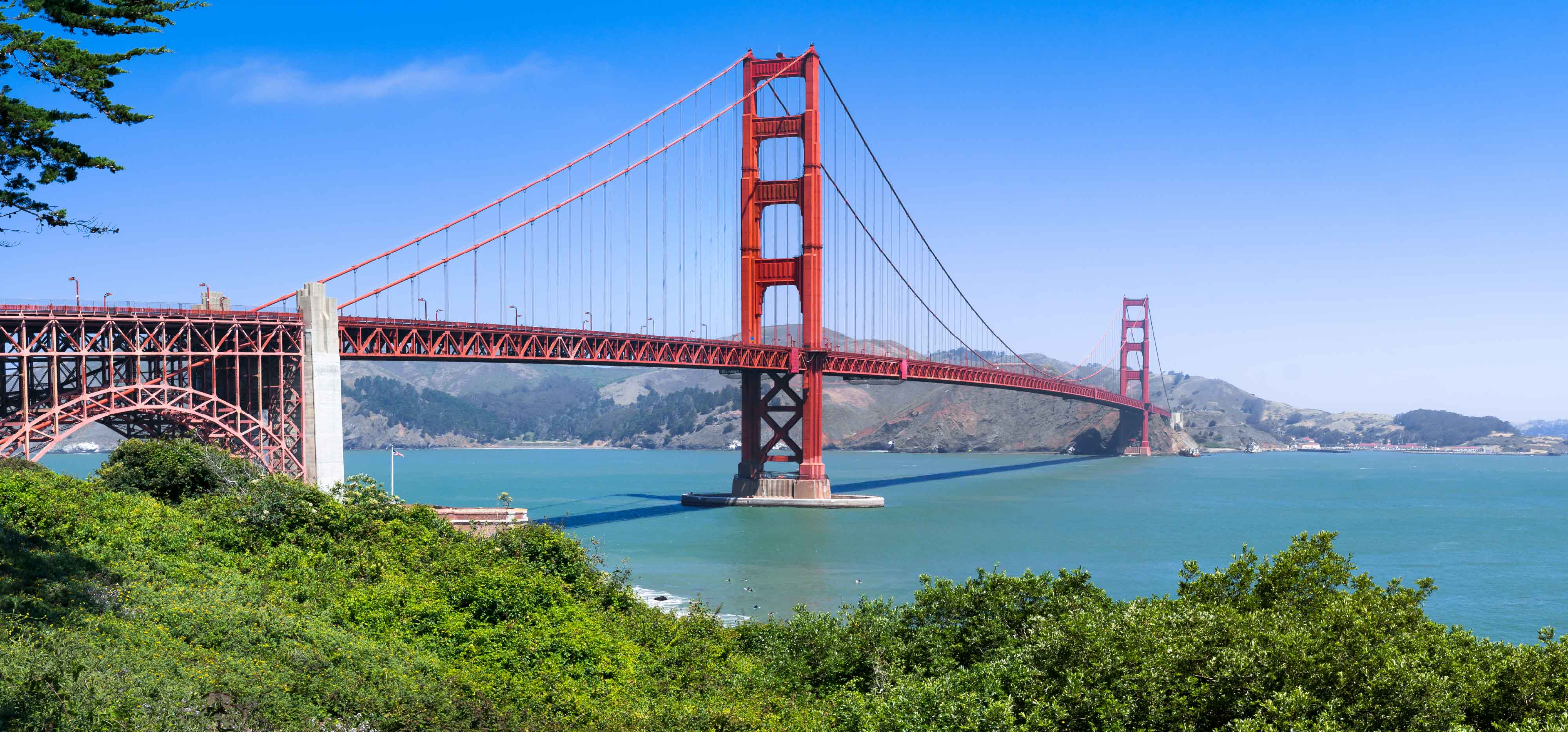 المنح الدراسية والتمويل