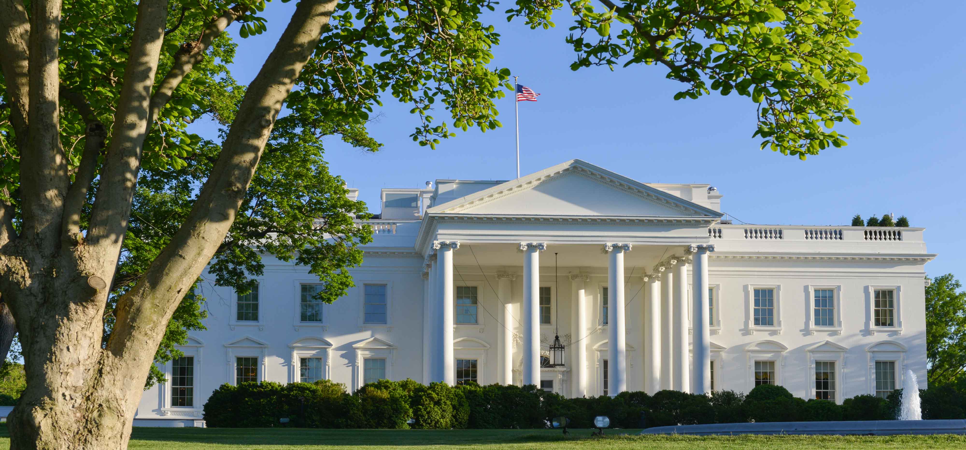 الفرص المهنية