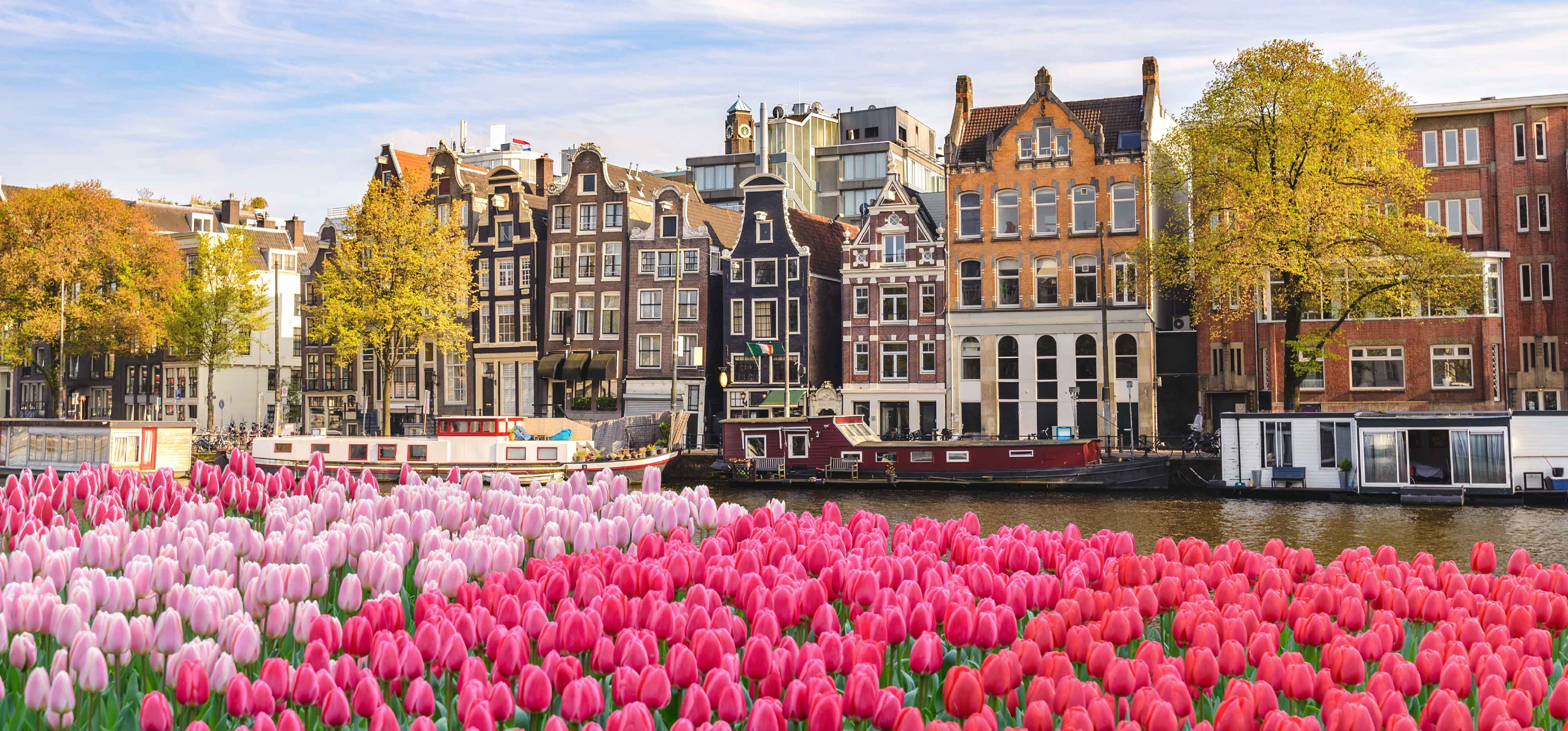 Scholarships & Funding