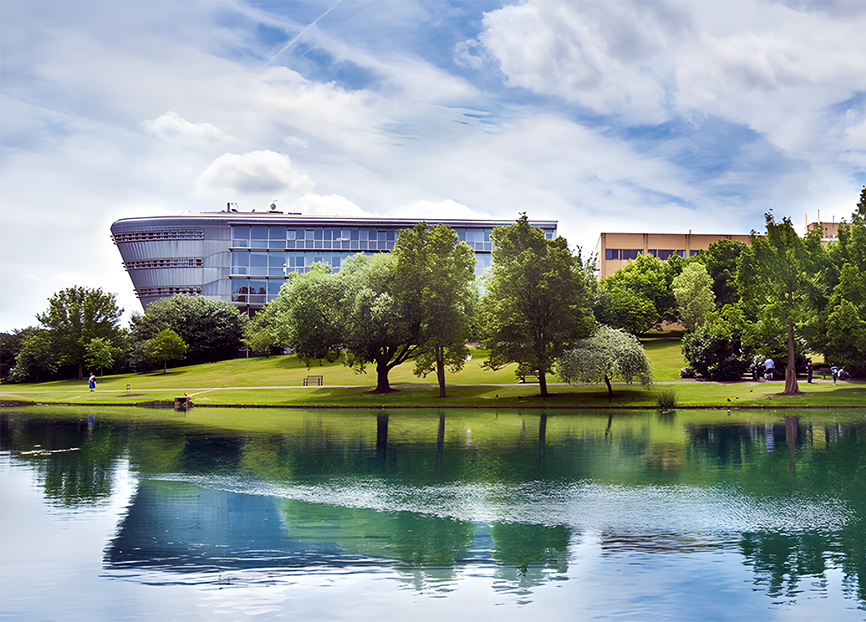 MSc in Business