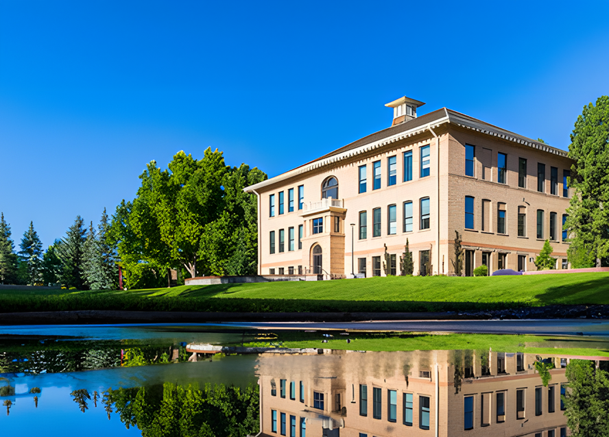 BSc in Business Analytics
