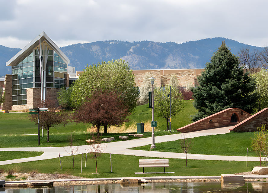 BSc in Computer Science