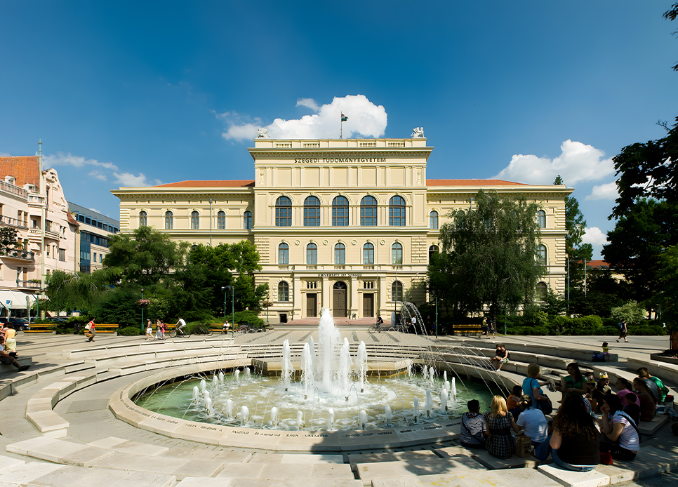 BSc in Physiotherapy
